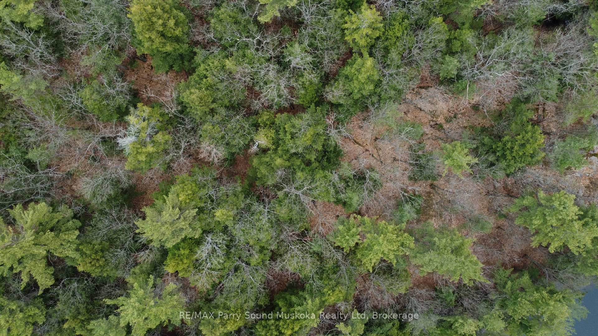Photo 15 of 4 Wee Gee Wa Road, Seguin — HOMEH