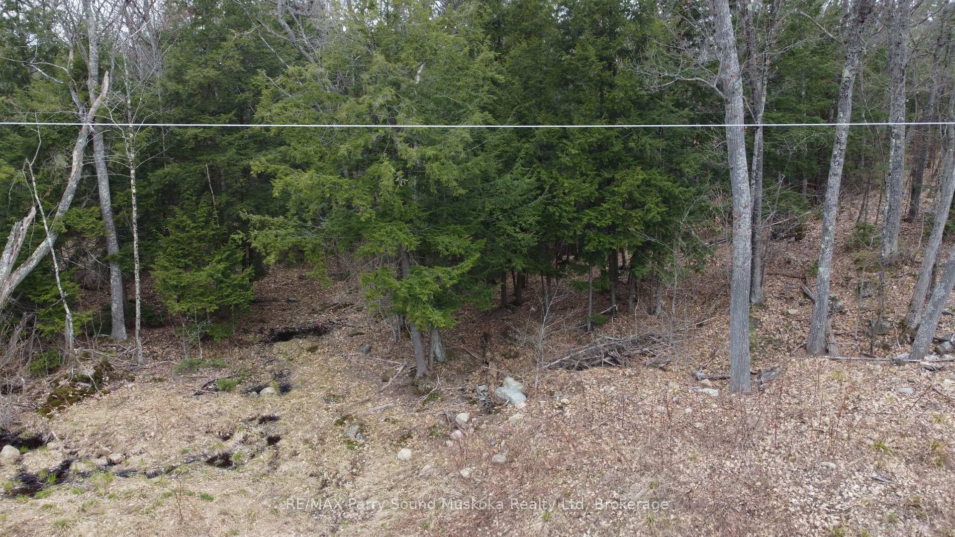 Photo 18 of 4 Wee Gee Wa Road, Seguin — HOMEH