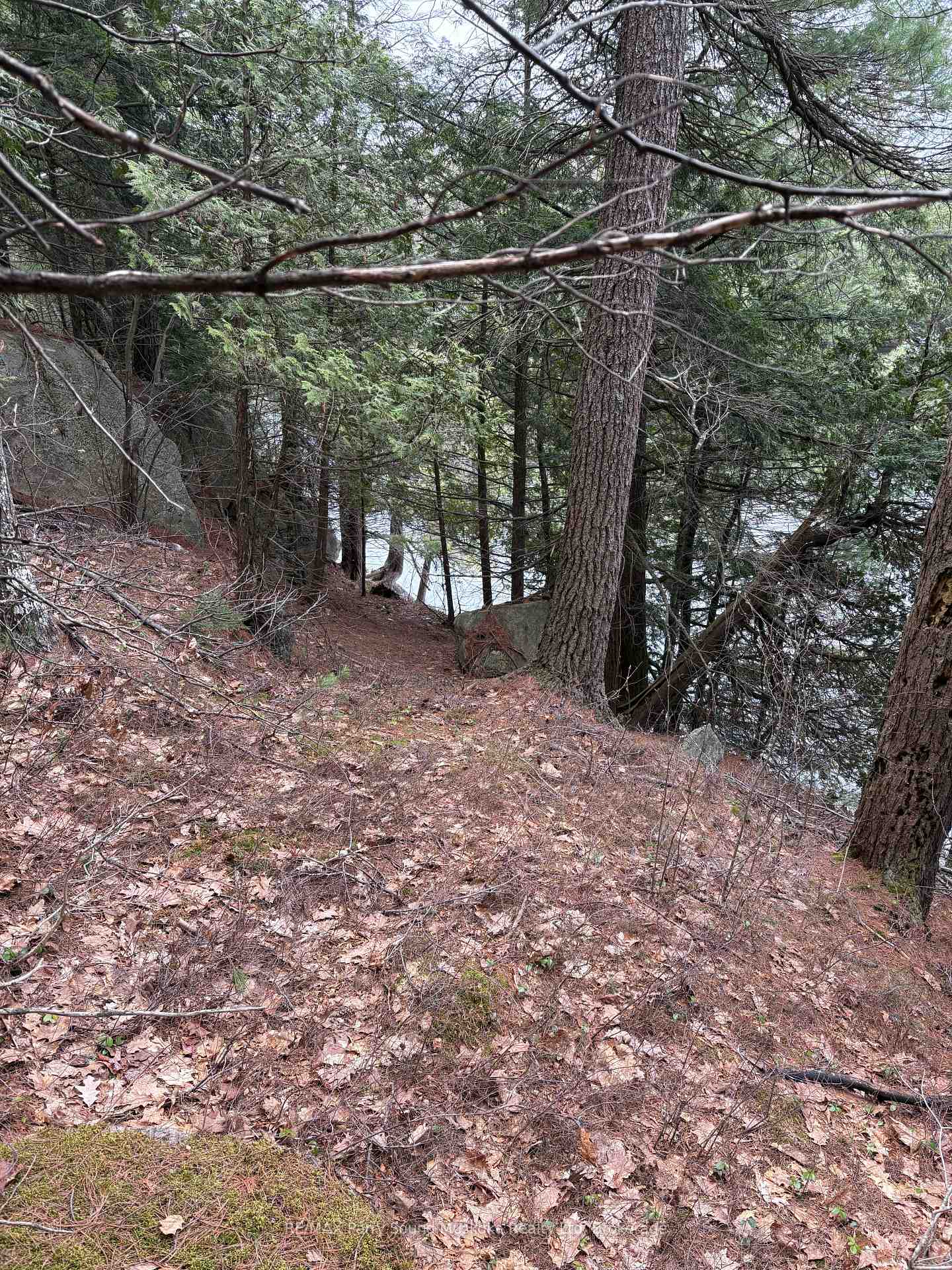 Photo 29 of 4 Wee Gee Wa Road, Seguin — HOMEH