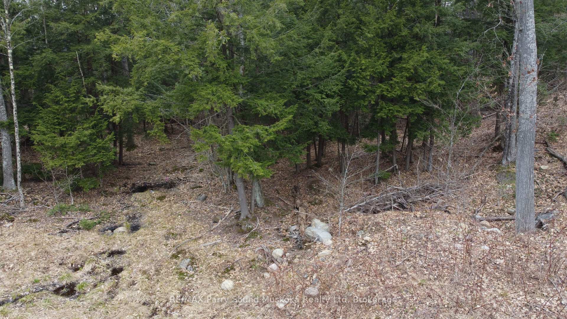 Photo 31 of 4 Wee Gee Wa Road, Seguin — HOMEH