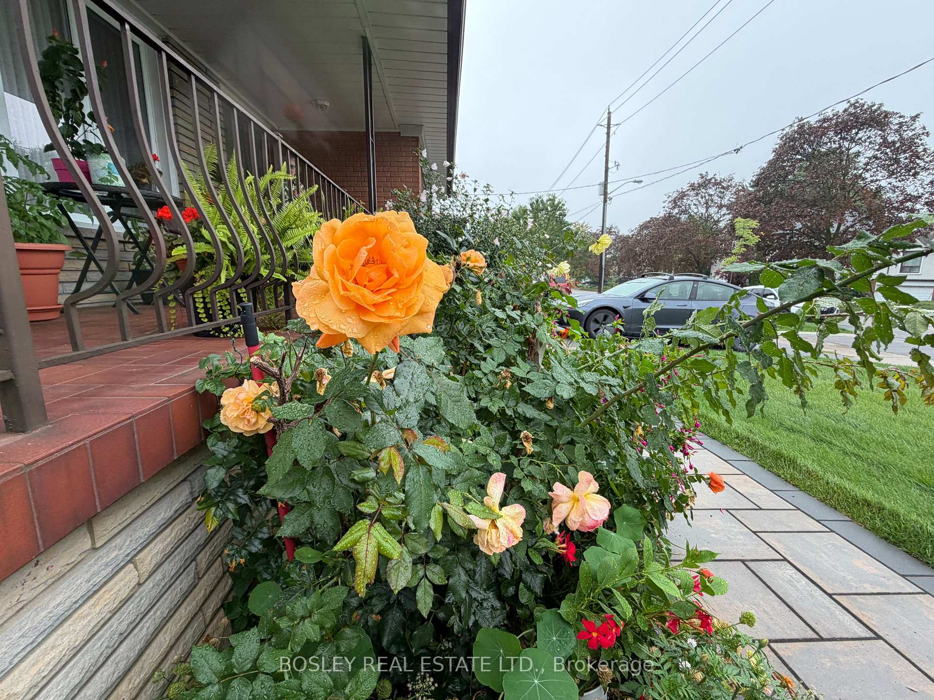 Photo 7 of Unit Lower, 63 Ernest Avenue, North York, Pleasant View — HOMEH