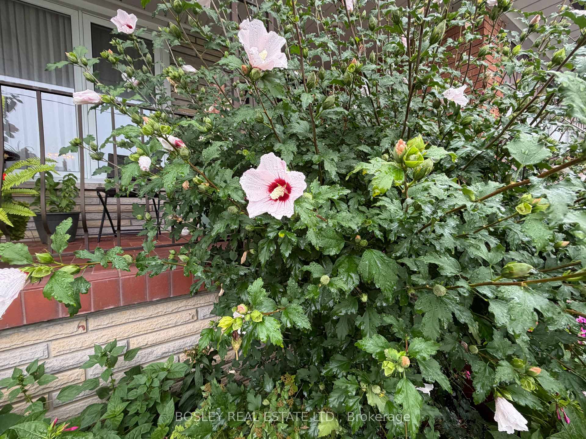 Photo 8 of Unit Lower, 63 Ernest Avenue, North York, Pleasant View — HOMEH