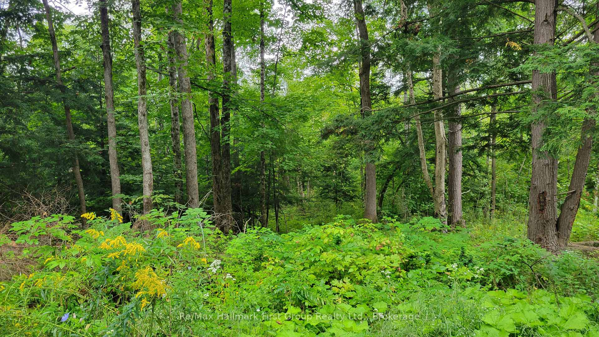 Photo 3 of Black River Road N, Tweed, Tweed (Village) — HOMEH