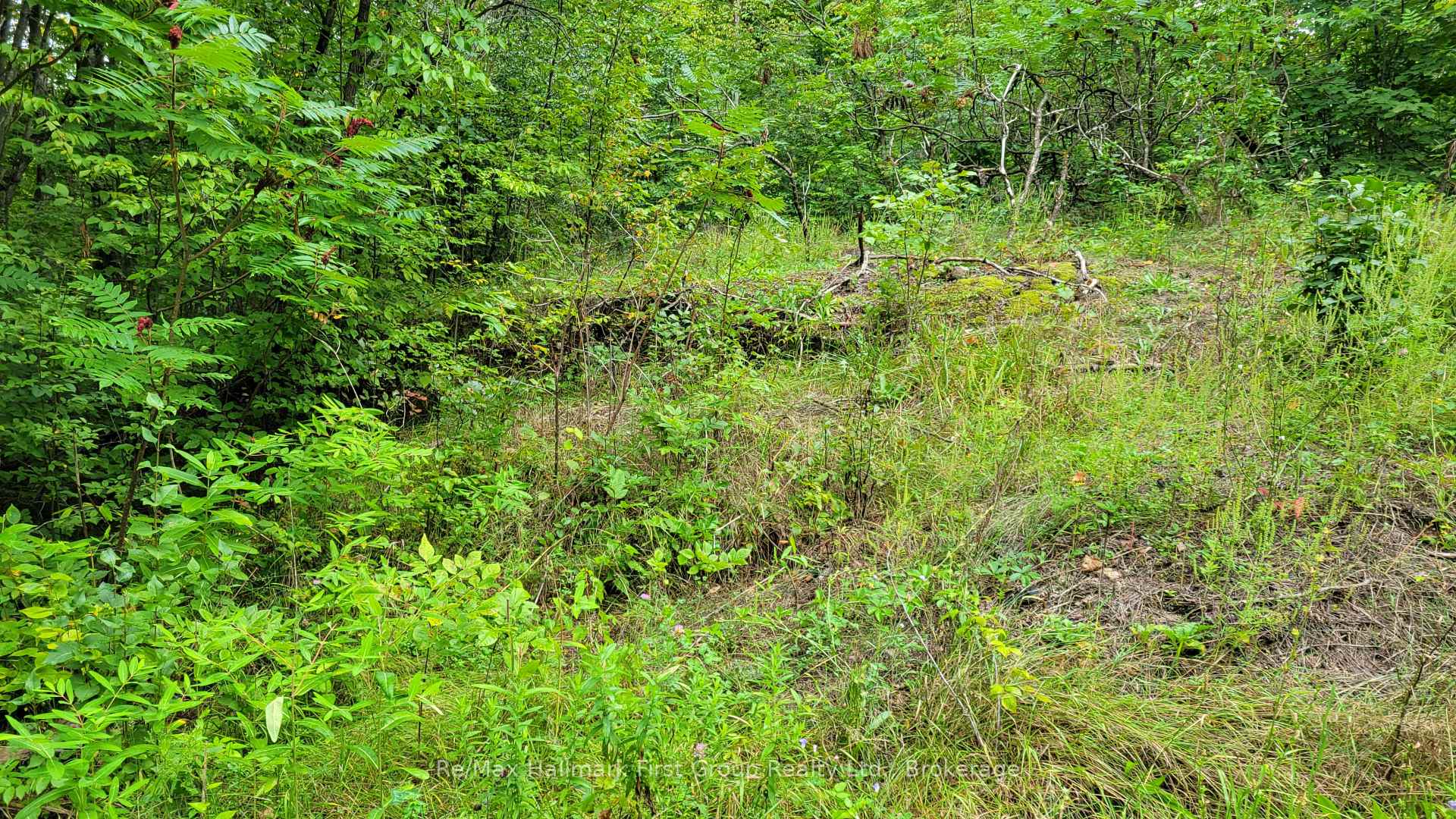 Photo 7 of Black River Road N, Tweed, Tweed (Village) — HOMEH