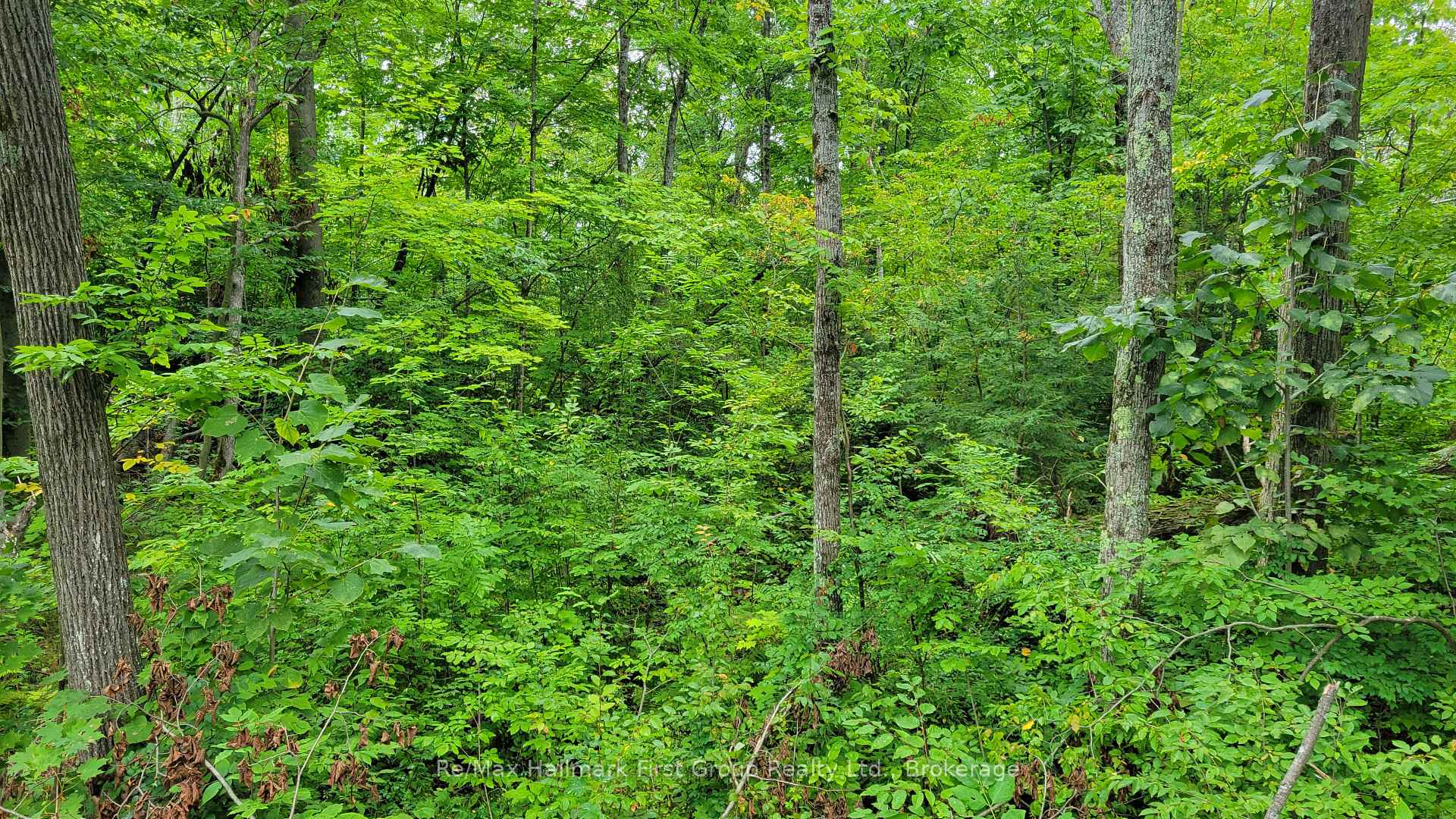 Photo 8 of Black River Road N, Tweed, Tweed (Village) — HOMEH