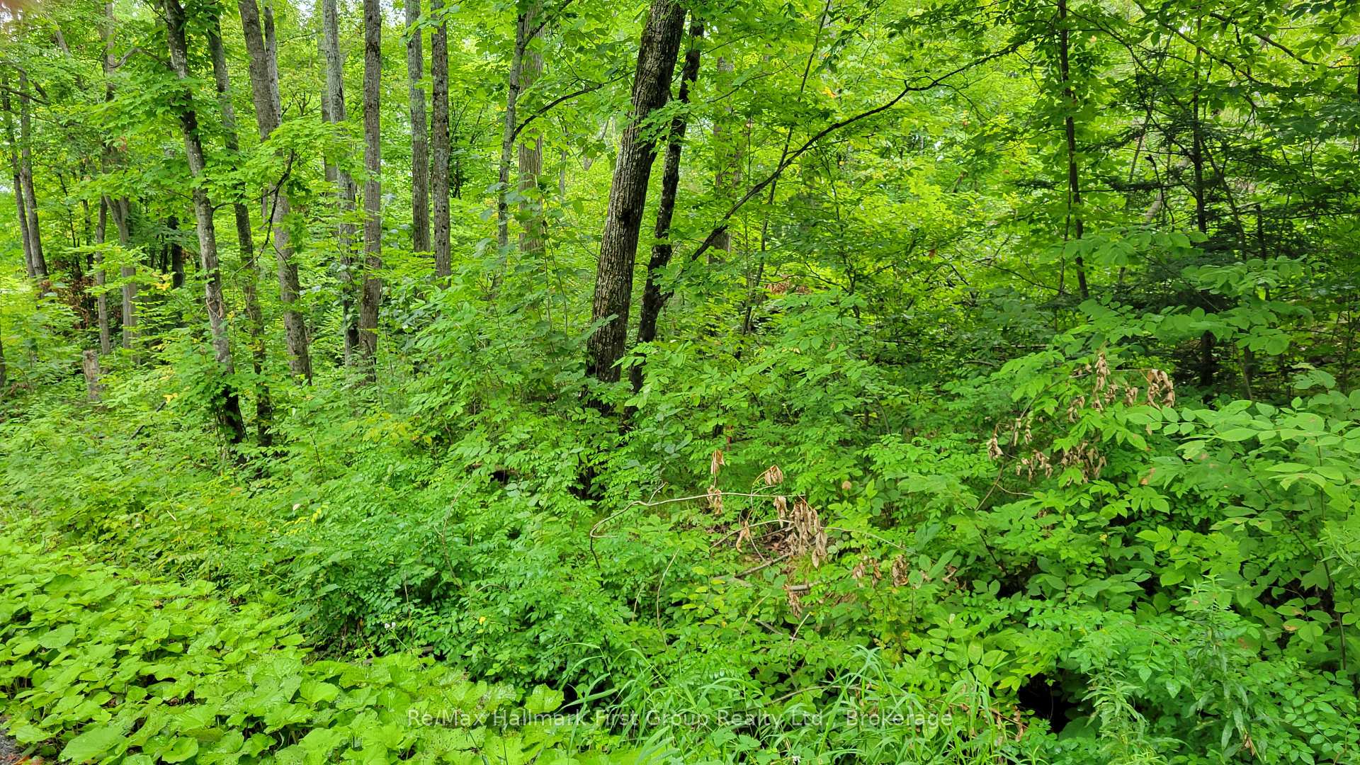 Photo 10 of Black River Road N, Tweed, Tweed (Village) — HOMEH