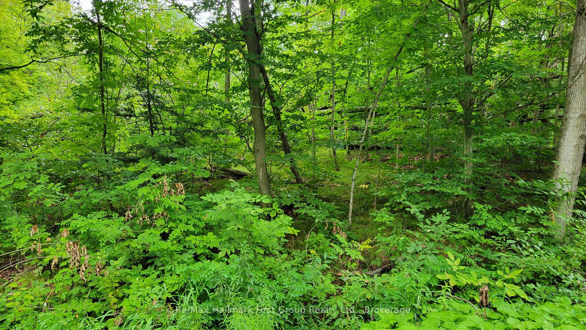 Photo 12 of Black River Road N, Tweed, Tweed (Village) — HOMEH