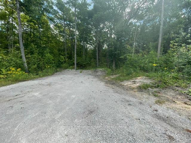Photo of 7859 Pineridge Road