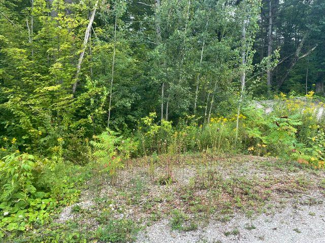 Photo 3 of 7859 Pineridge Road, Ramara, Rural Ramara — HOMEH
