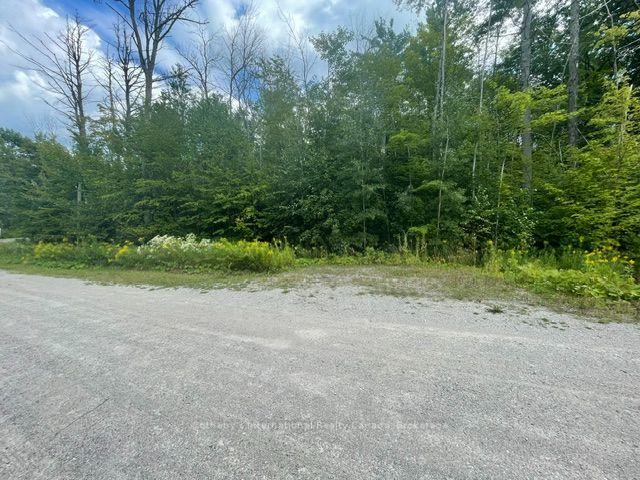 Photo of 7865 Pineridge Drive