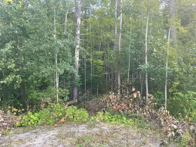 Photo 2 of 7865 Pineridge Drive, Ramara, Rural Ramara — HOMEH