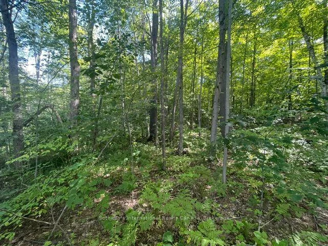 Photo 3 of 7865 Pineridge Drive, Ramara, Rural Ramara — HOMEH