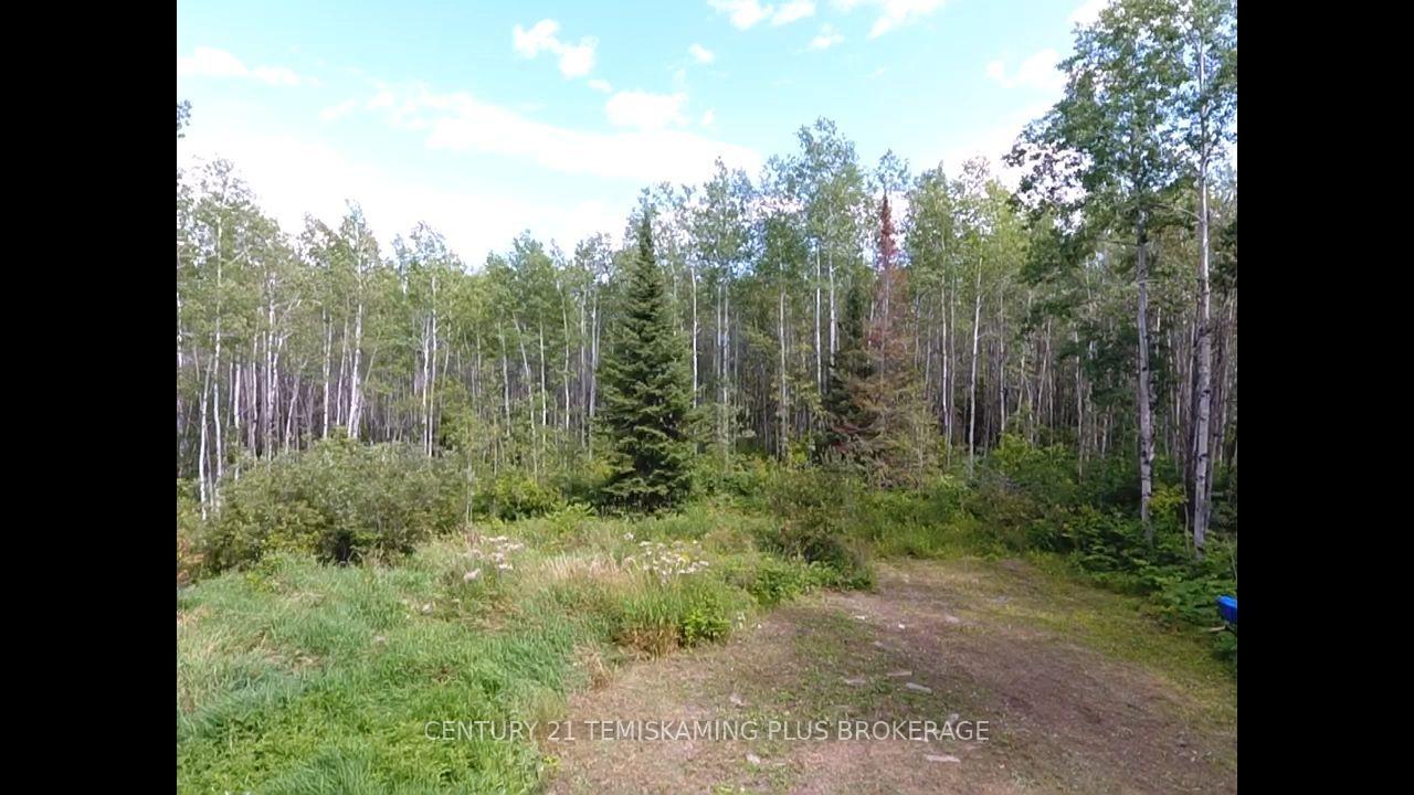 Photo 7 of 903069 Hanbury Road, Timiskaming, TIM - Outside - Rural — HOMEH