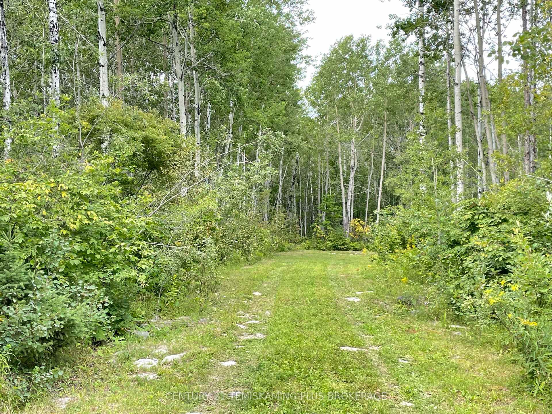 Photo 9 of 903069 Hanbury Road, Timiskaming, TIM - Outside - Rural — HOMEH