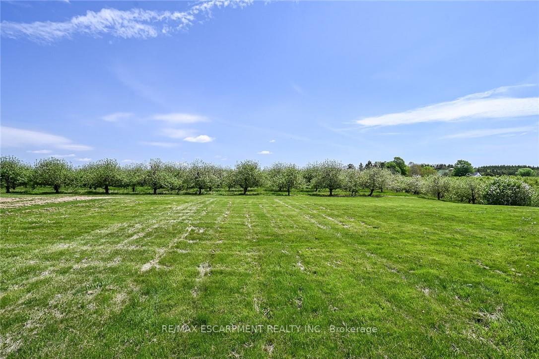 Photo 44 of 903 Concession 13 Townsend Road, Norfolk, Townsend — HOMEH