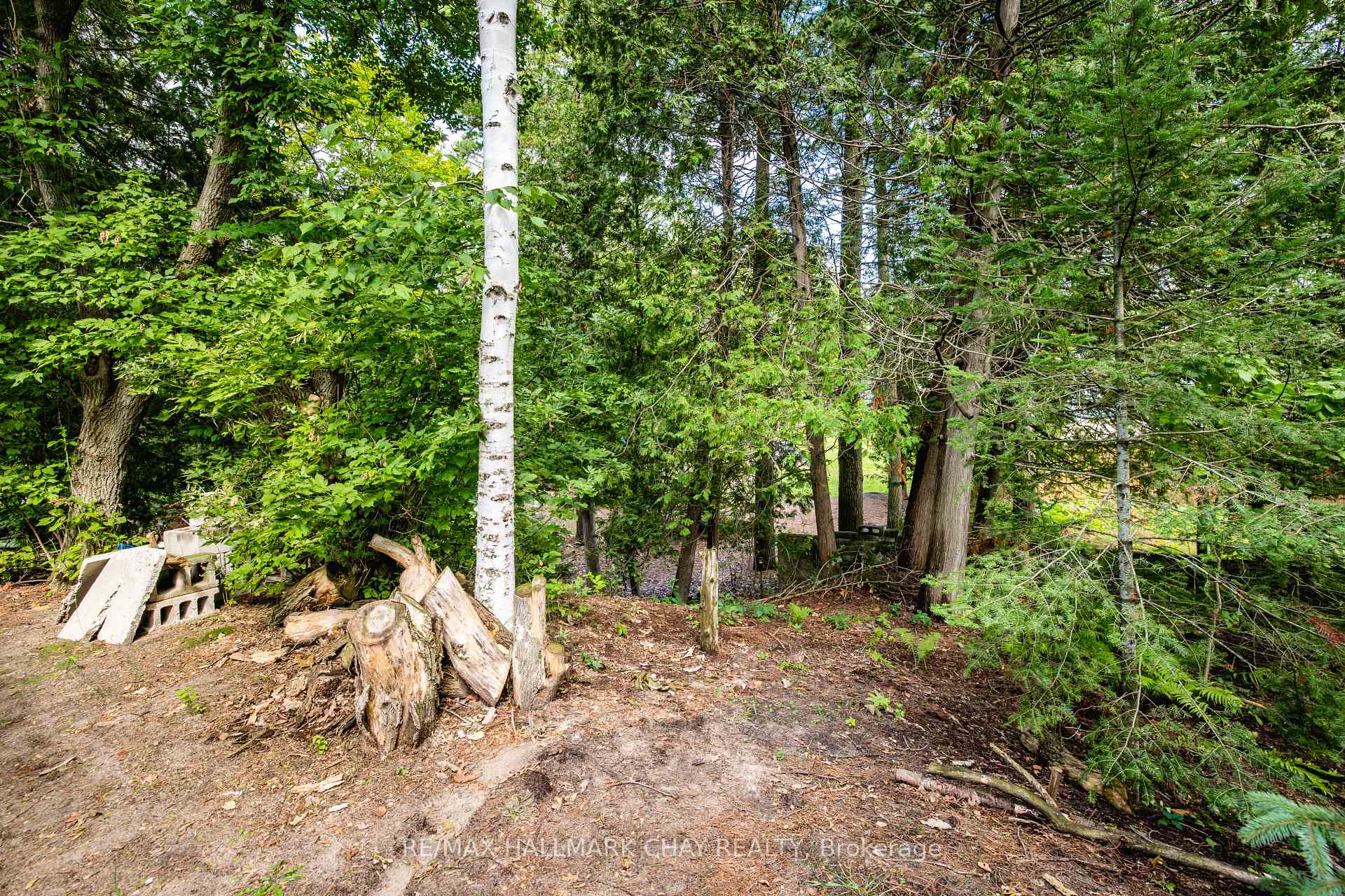 Photo 21 of 1221 River Road E, Wasaga Beach — HOMEH