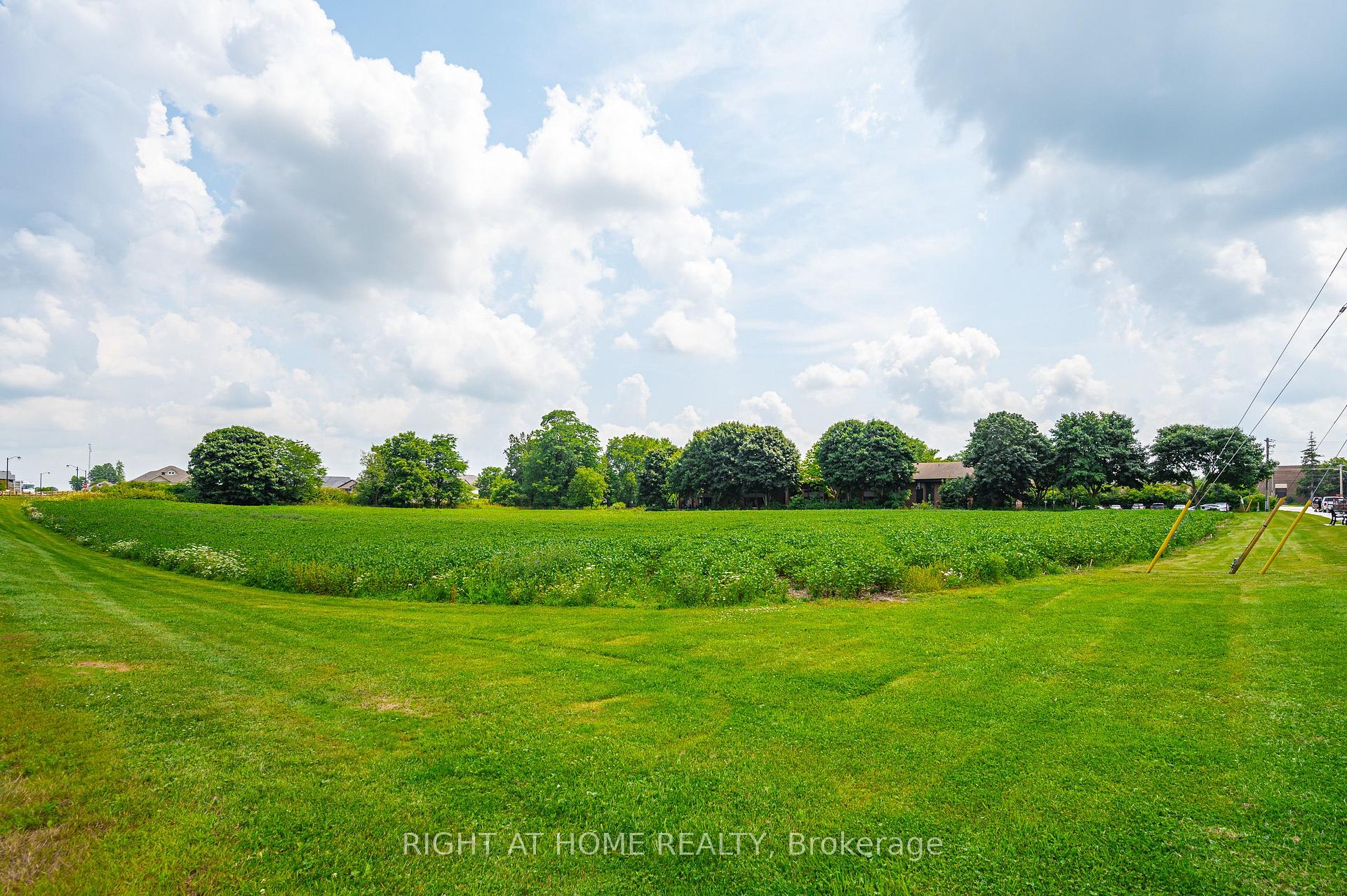 Photo 4 of 20 Part Lot Con 1, Minto — HOMEH