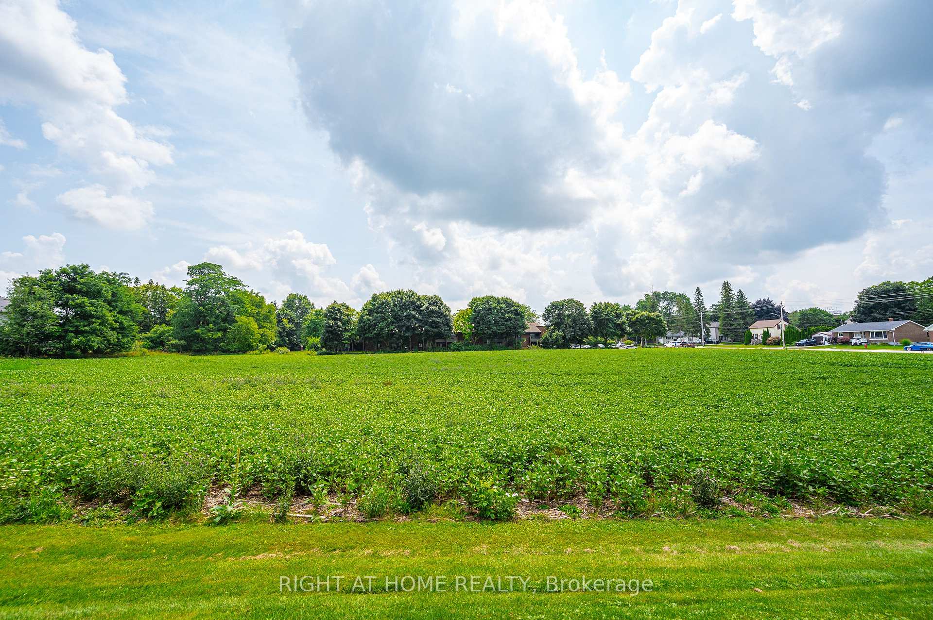 Photo 5 of 20 Part Lot Con 1, Minto — HOMEH