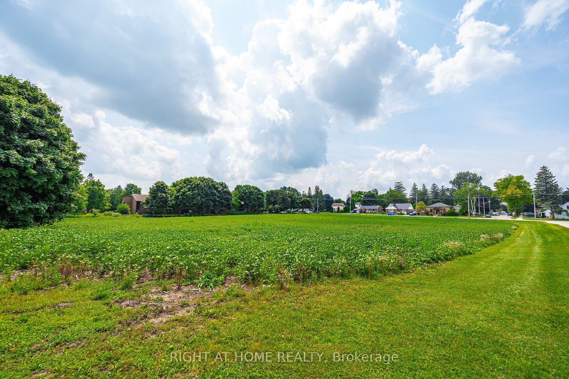Photo 9 of 20 Part Lot Con 1, Minto — HOMEH