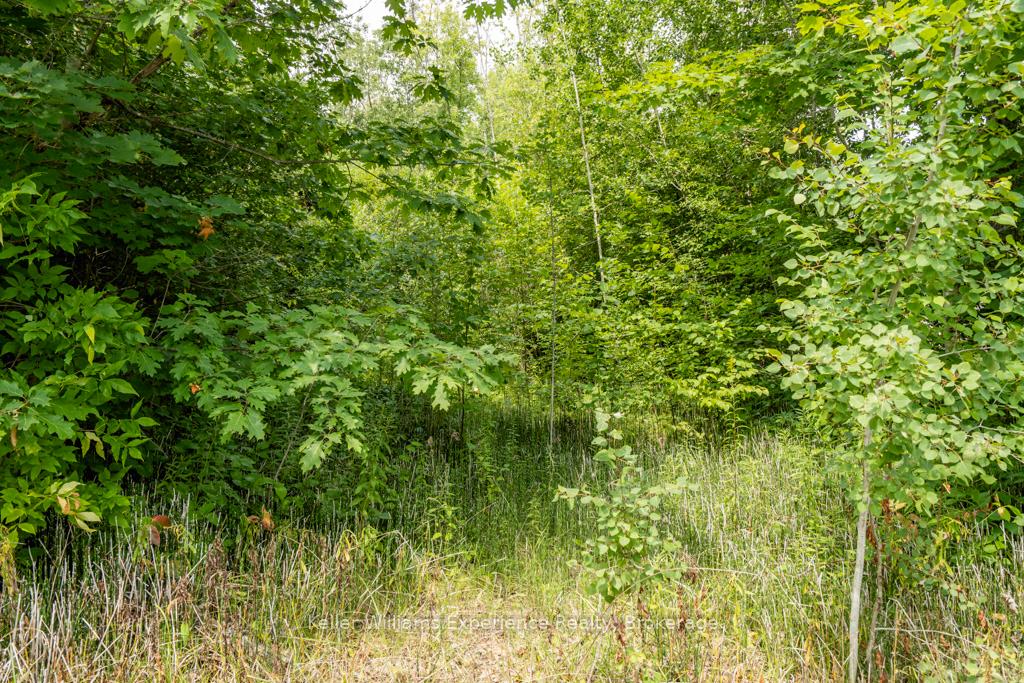 Photo 7 of 264 Peek-A-Boo Trail, Tiny, Rural Tiny — HOMEH