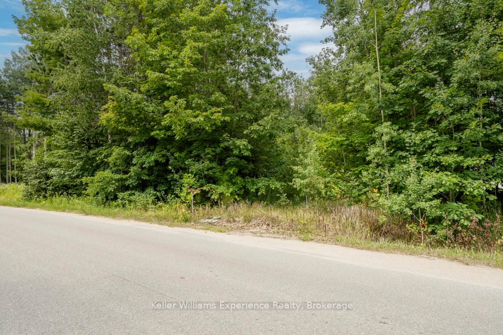 Photo 8 of 264 Peek-A-Boo Trail, Tiny, Rural Tiny — HOMEH