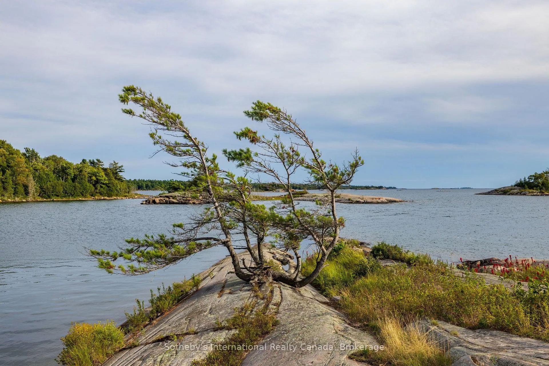 Photo 3 of 1 Island 352C, Carling — HOMEH