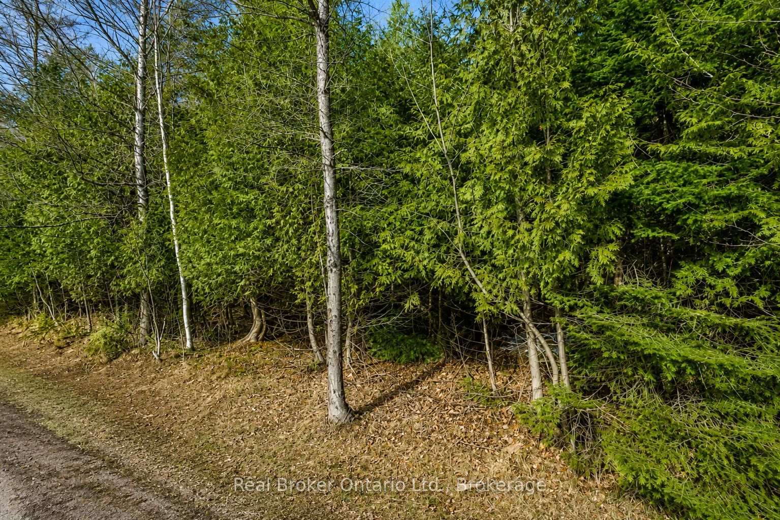 Photo 2 of LOT 116 Iroquois Crescent, Tiny, Rural Tiny — HOMEH