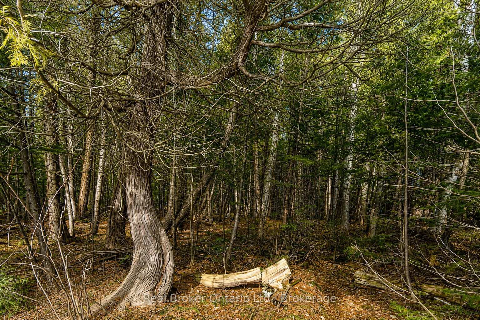 Photo 3 of LOT 116 Iroquois Crescent, Tiny, Rural Tiny — HOMEH