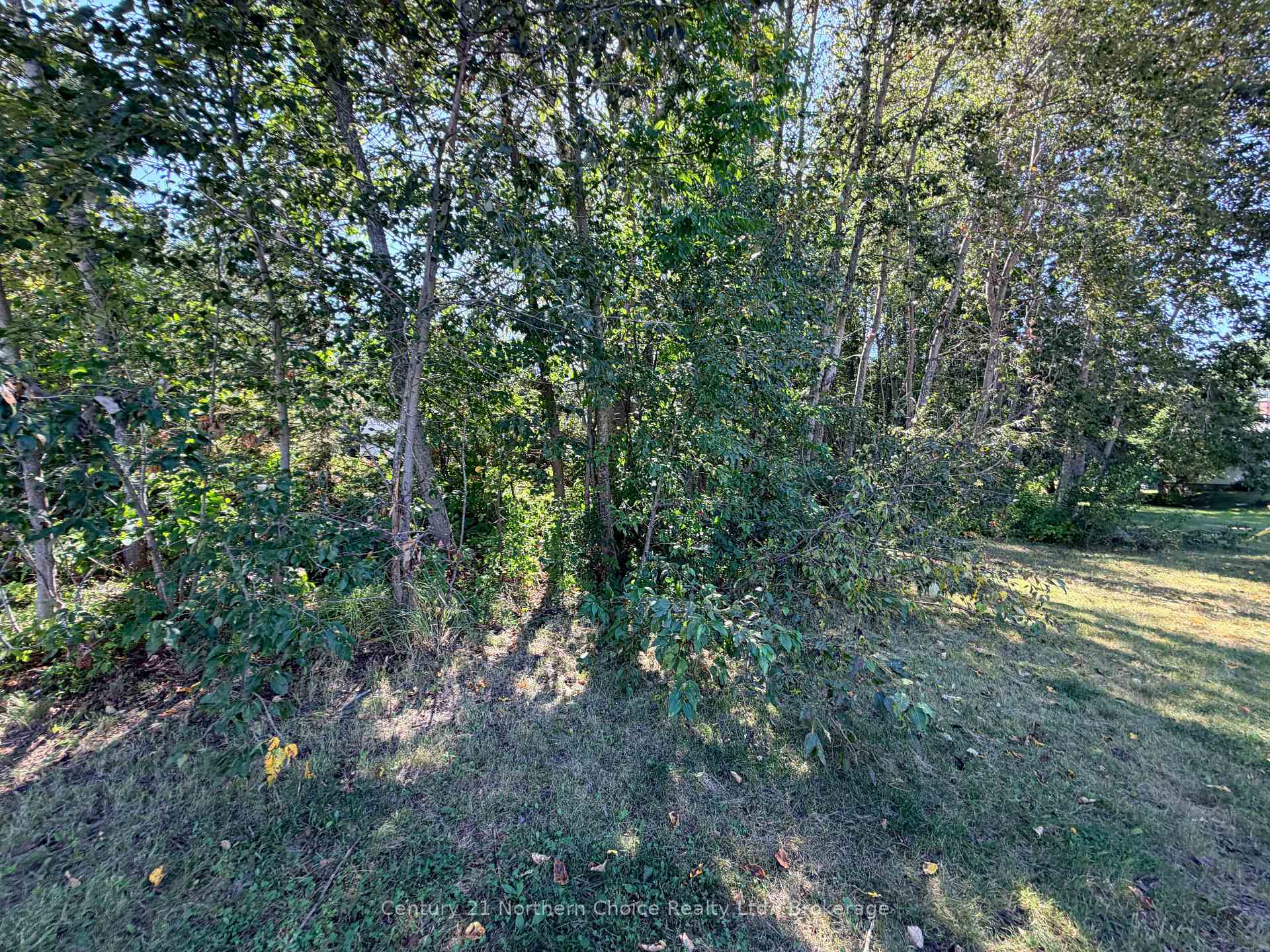 Photo 10 of LOT 3 M297 Pine Portage Road, Kenora, South Park Estate — HOMEH