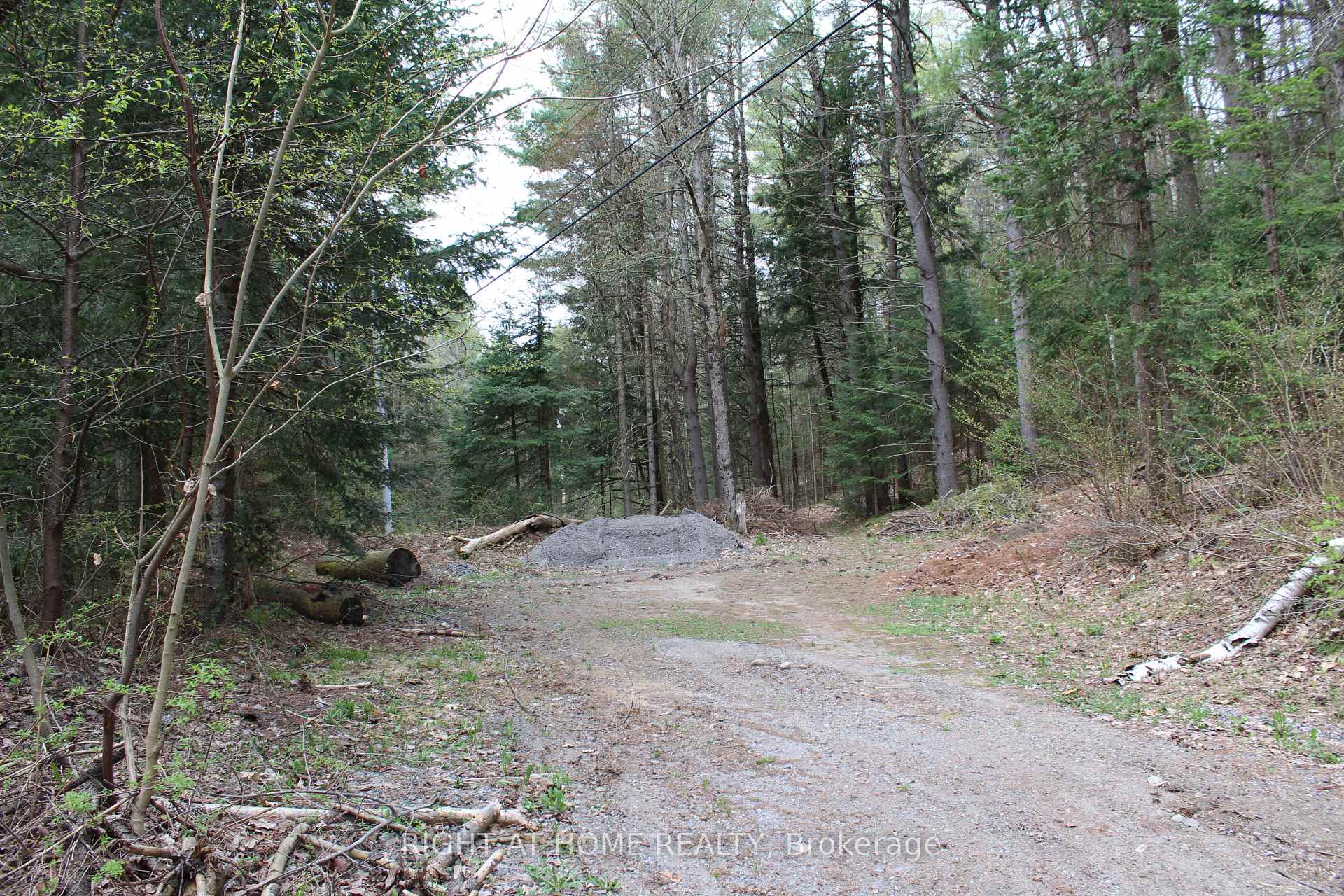 Photo 4 of 1019 Forrester Trail, Bracebridge, Macaulay — HOMEH