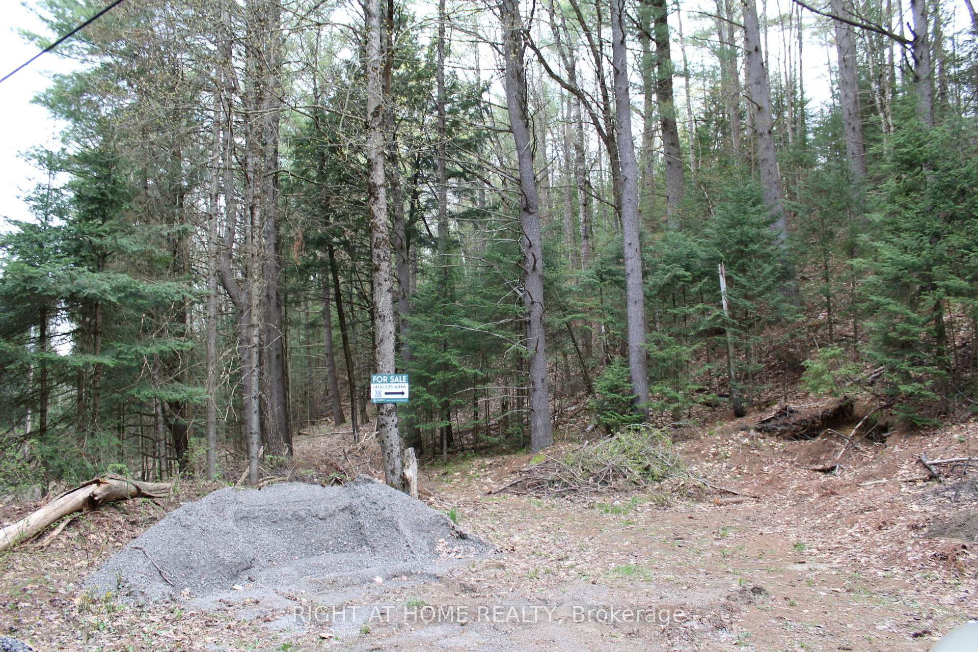 Photo 5 of 1019 Forrester Trail, Bracebridge, Macaulay — HOMEH