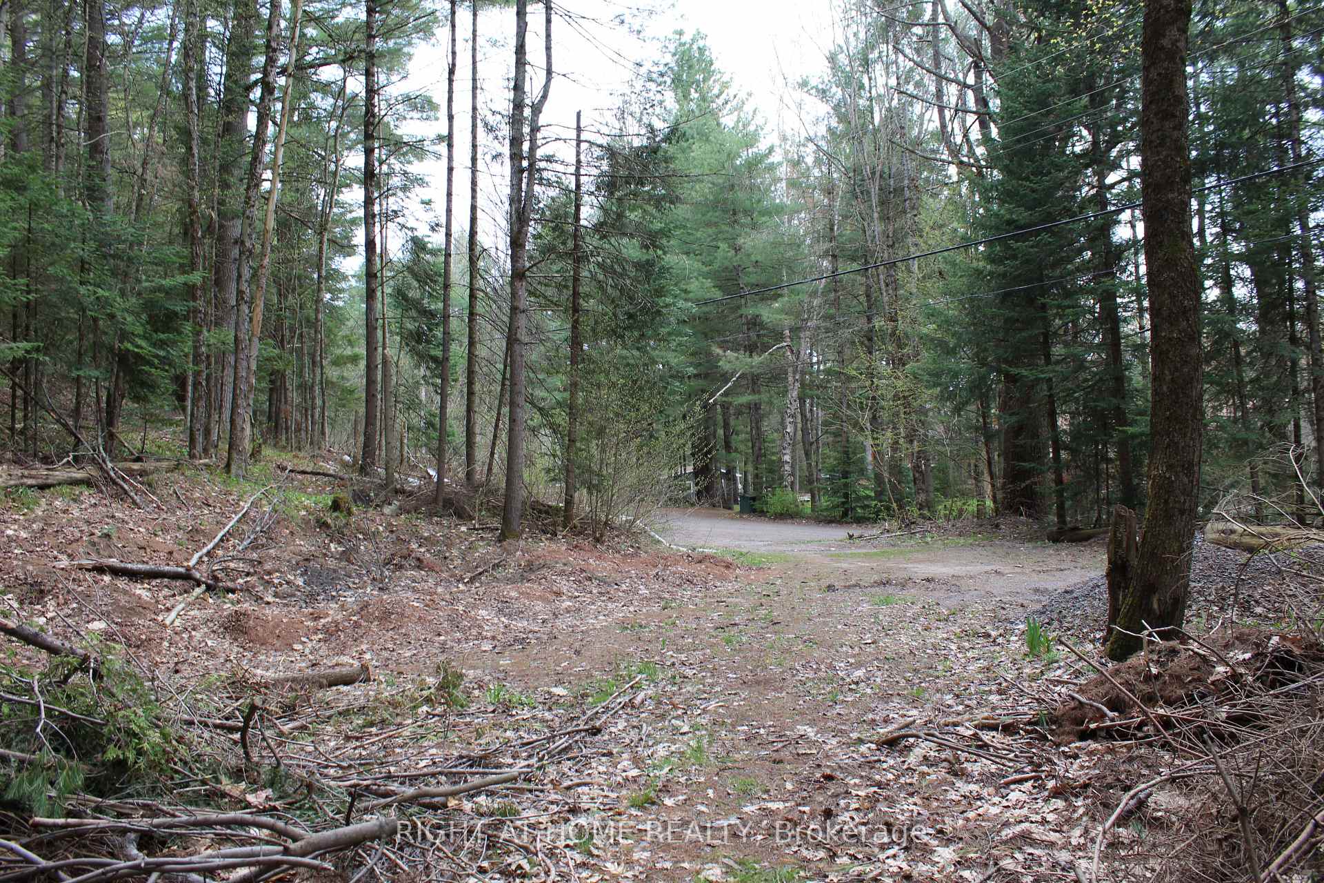 Photo 6 of 1019 Forrester Trail, Bracebridge, Macaulay — HOMEH