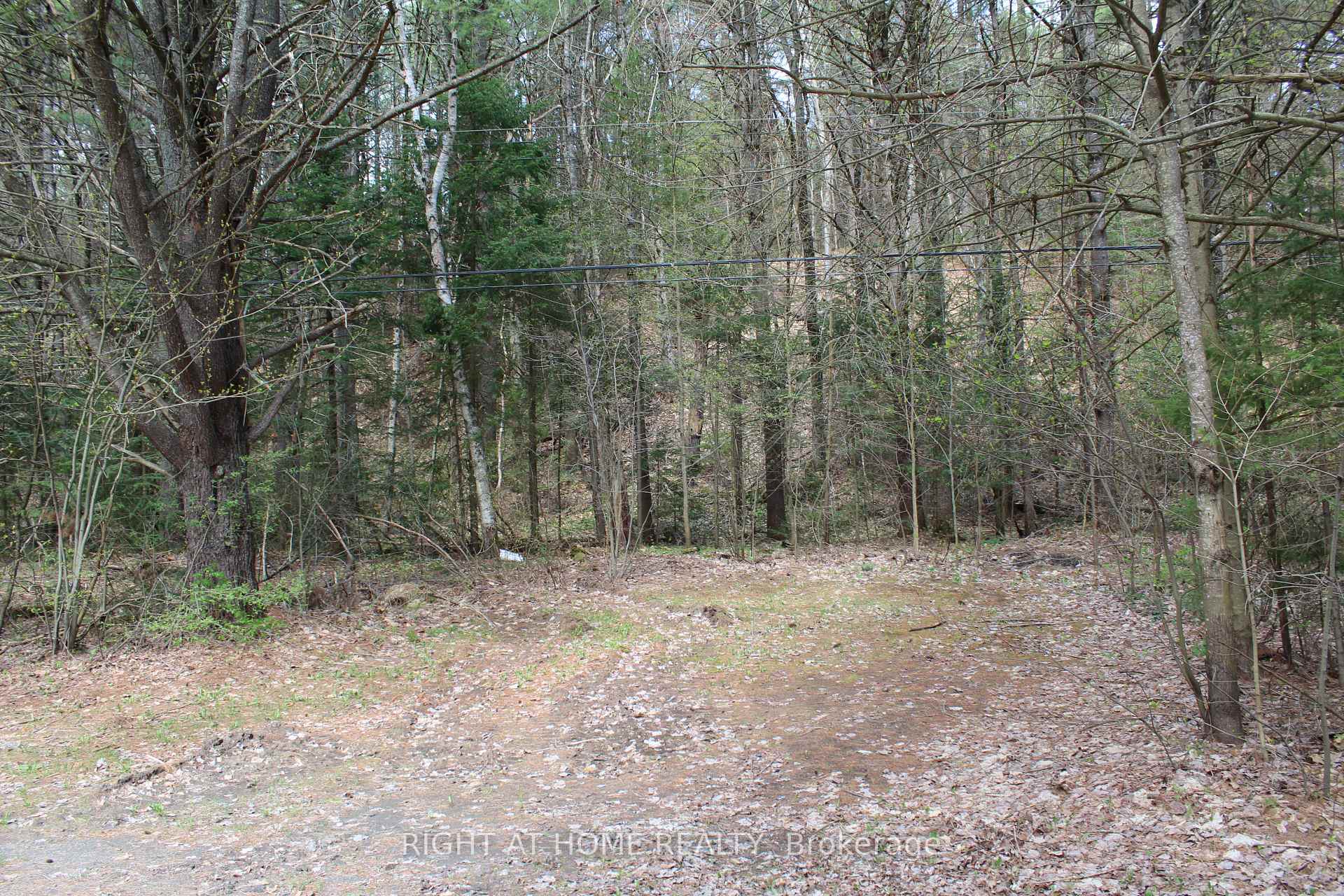 Photo 8 of 1019 Forrester Trail, Bracebridge, Macaulay — HOMEH