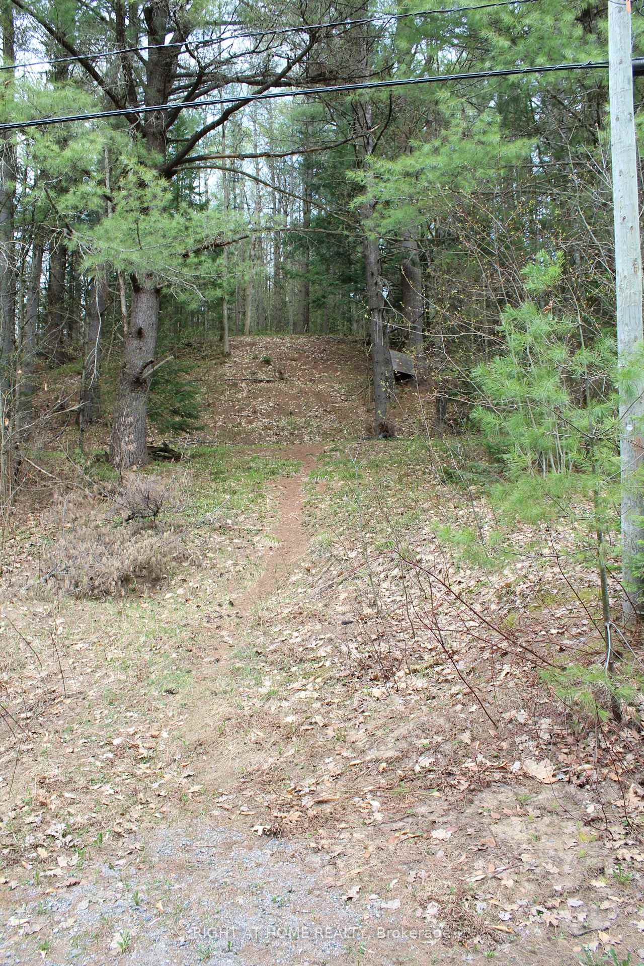 Photo 9 of 1019 Forrester Trail, Bracebridge, Macaulay — HOMEH