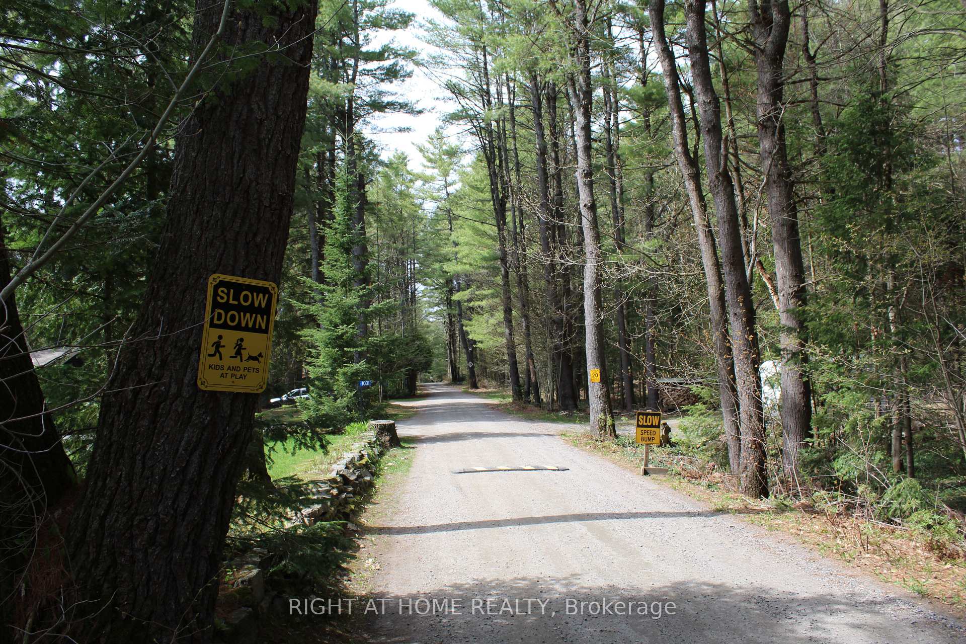 Photo 10 of 1019 Forrester Trail, Bracebridge, Macaulay — HOMEH