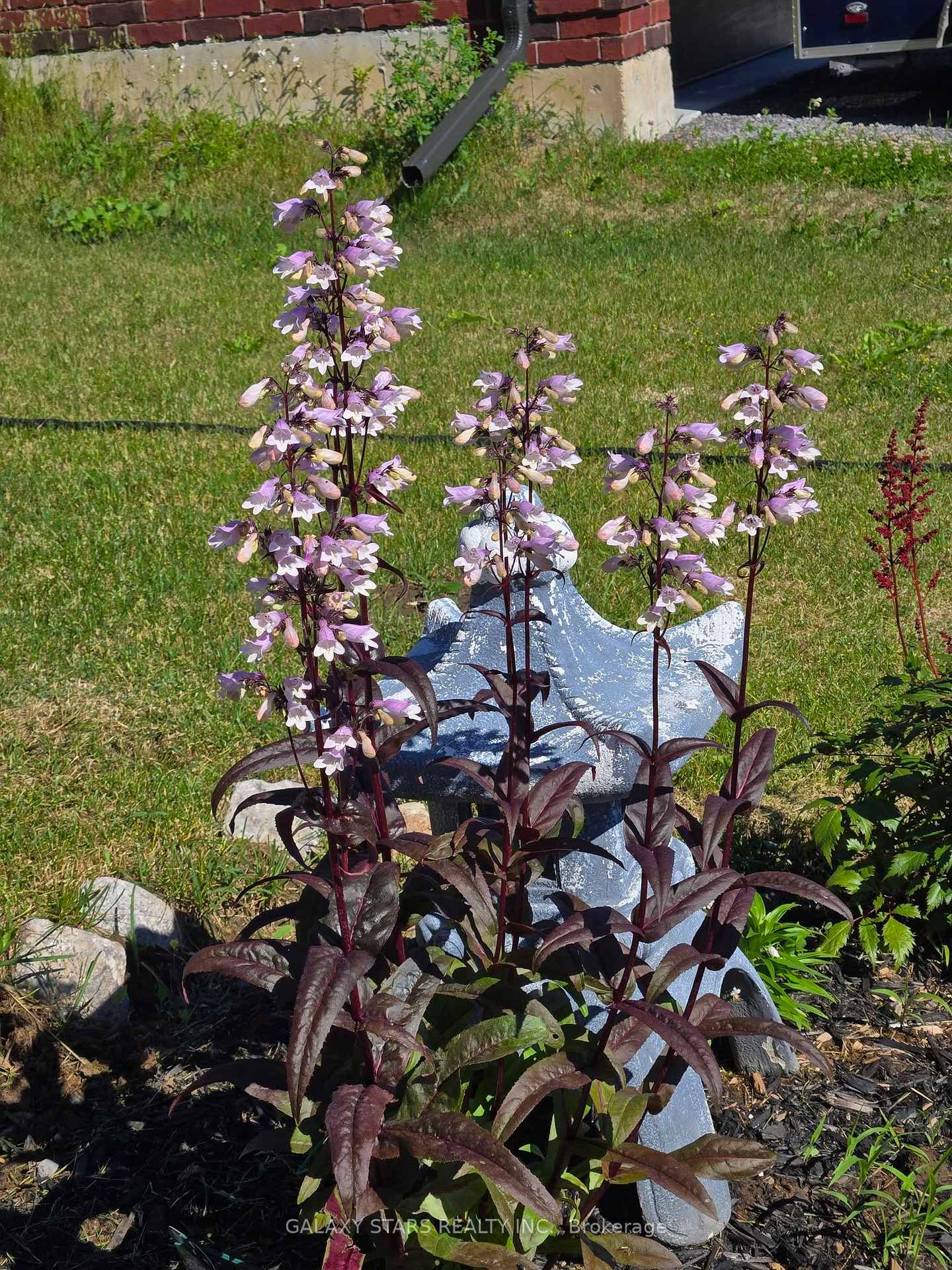 Photo 6 of 9 Bradley Lane E, Asphodel-Norwood, Rural Asphodel-Norwood — HOMEH