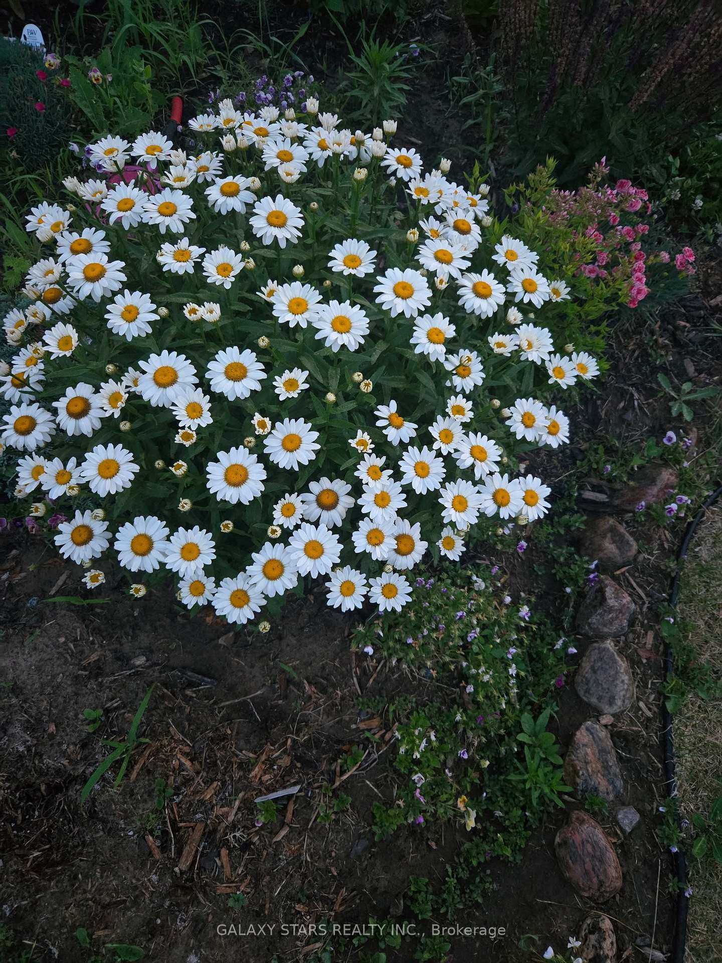 Photo 8 of 9 Bradley Lane E, Asphodel-Norwood, Rural Asphodel-Norwood — HOMEH