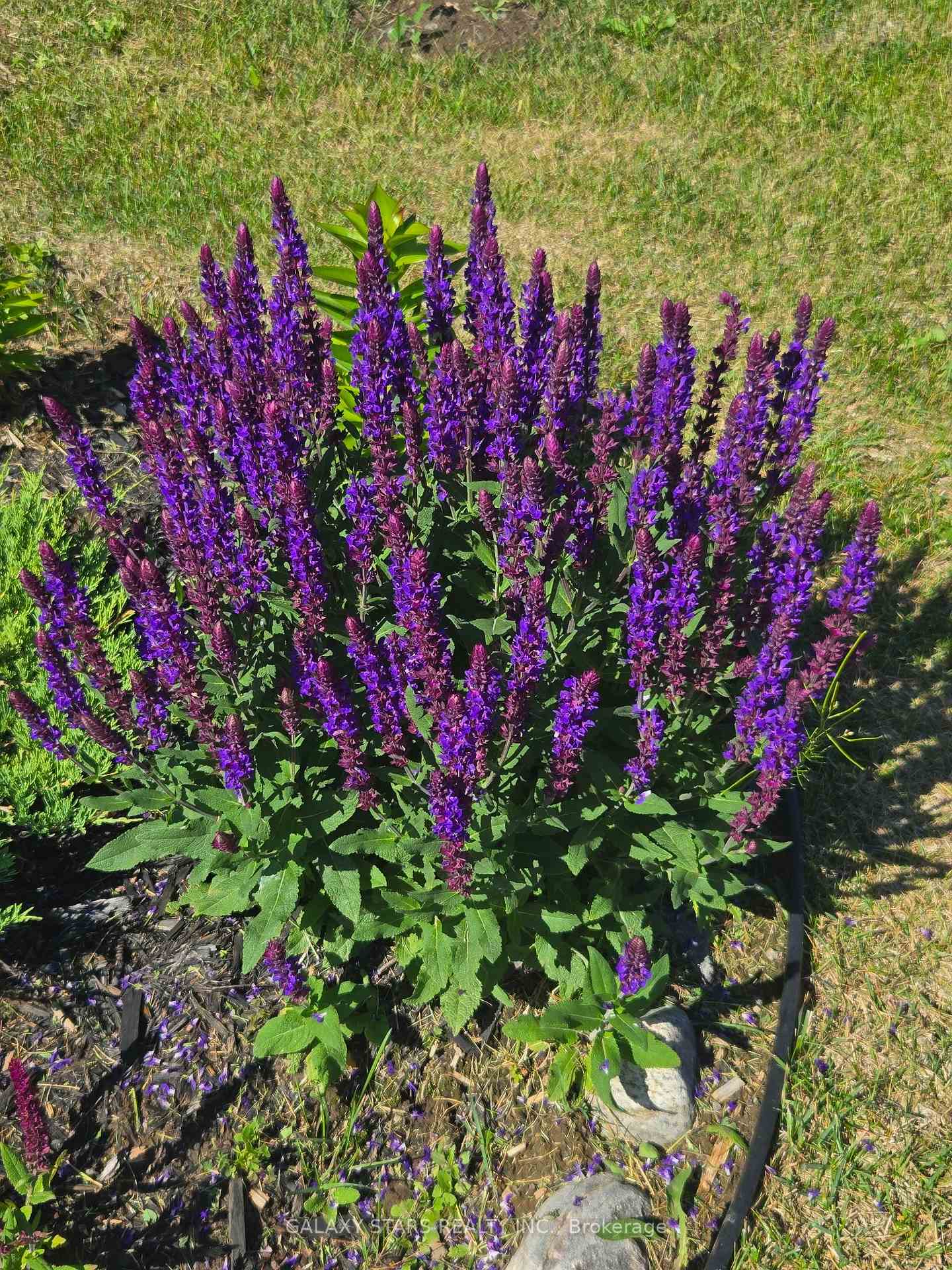 Photo 9 of 9 Bradley Lane E, Asphodel-Norwood, Rural Asphodel-Norwood — HOMEH