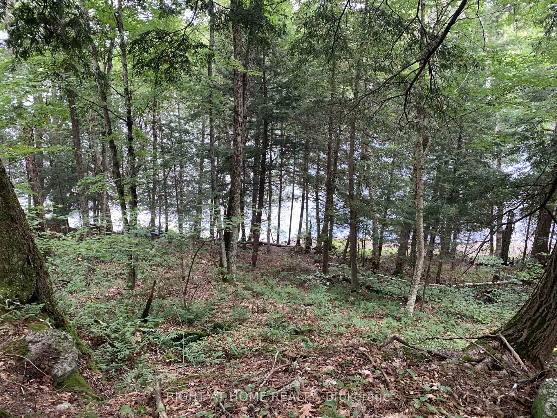 Photo 4 of pt 3 Shadows End Lane, Magnetawan, Ahmic Harbour — HOMEH