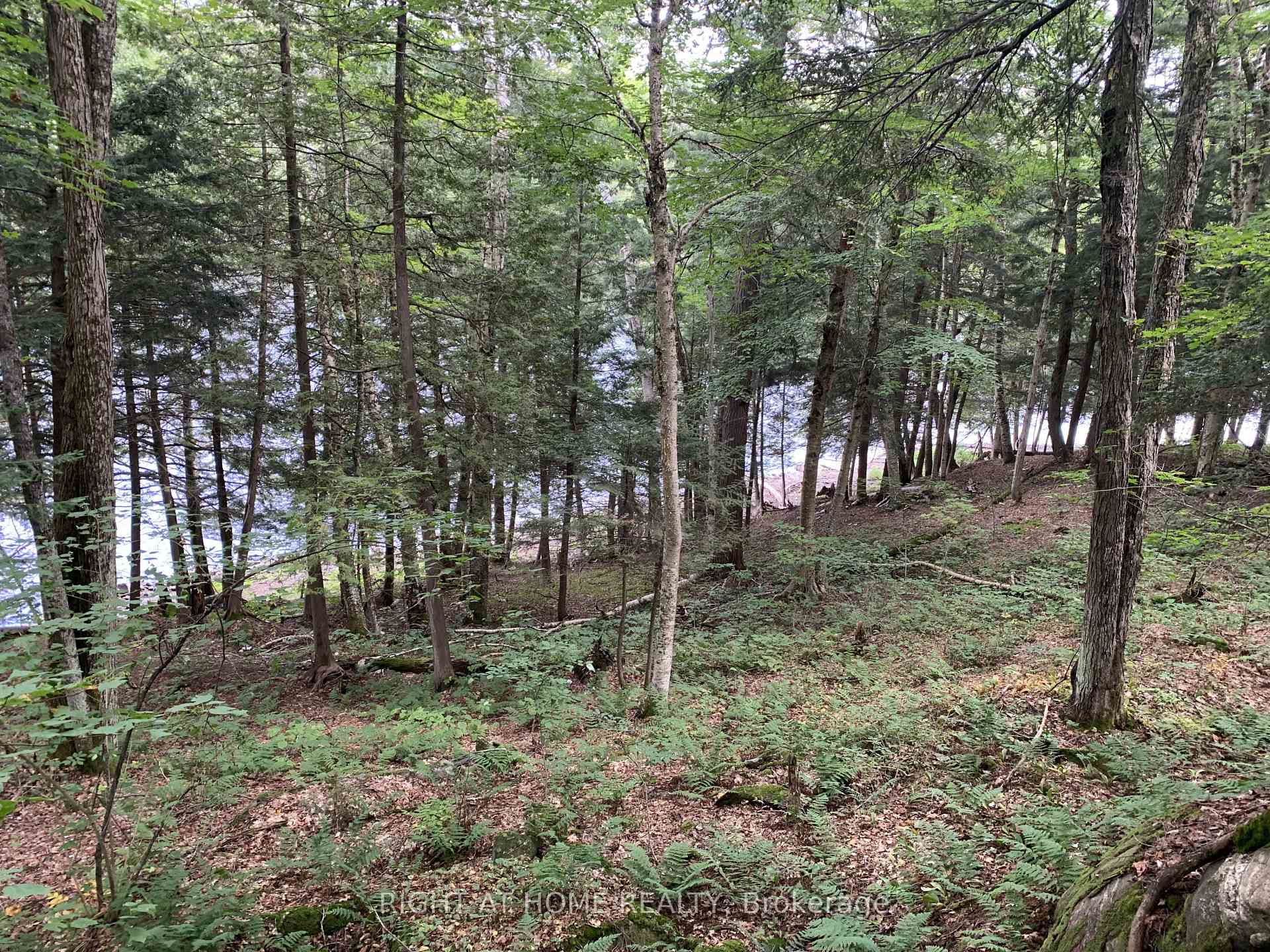 Photo 5 of pt 3 Shadows End Lane, Magnetawan, Ahmic Harbour — HOMEH