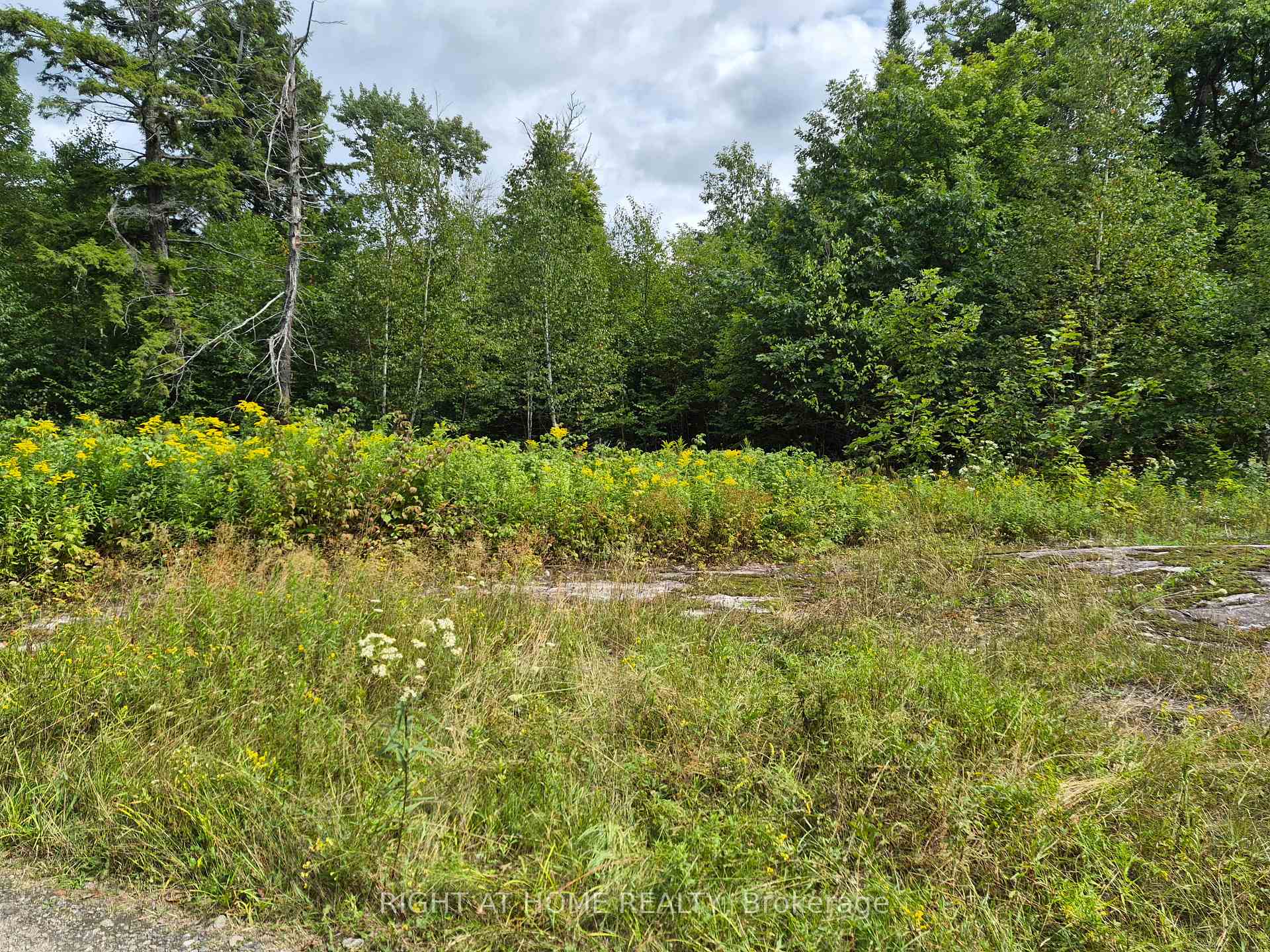 Photo 6 of pt 3 Shadows End Lane, Magnetawan, Ahmic Harbour — HOMEH