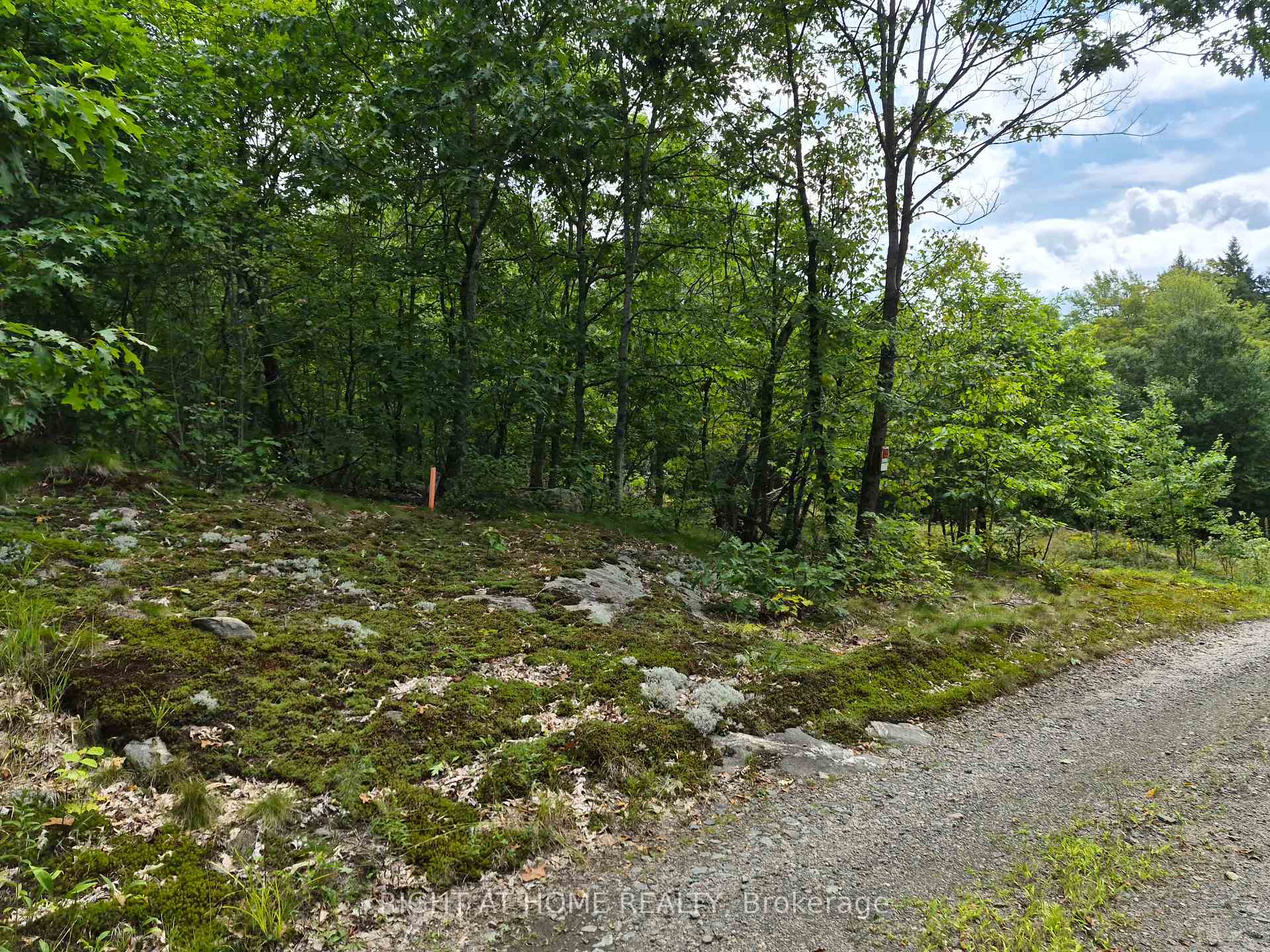 Photo 7 of pt 3 Shadows End Lane, Magnetawan, Ahmic Harbour — HOMEH