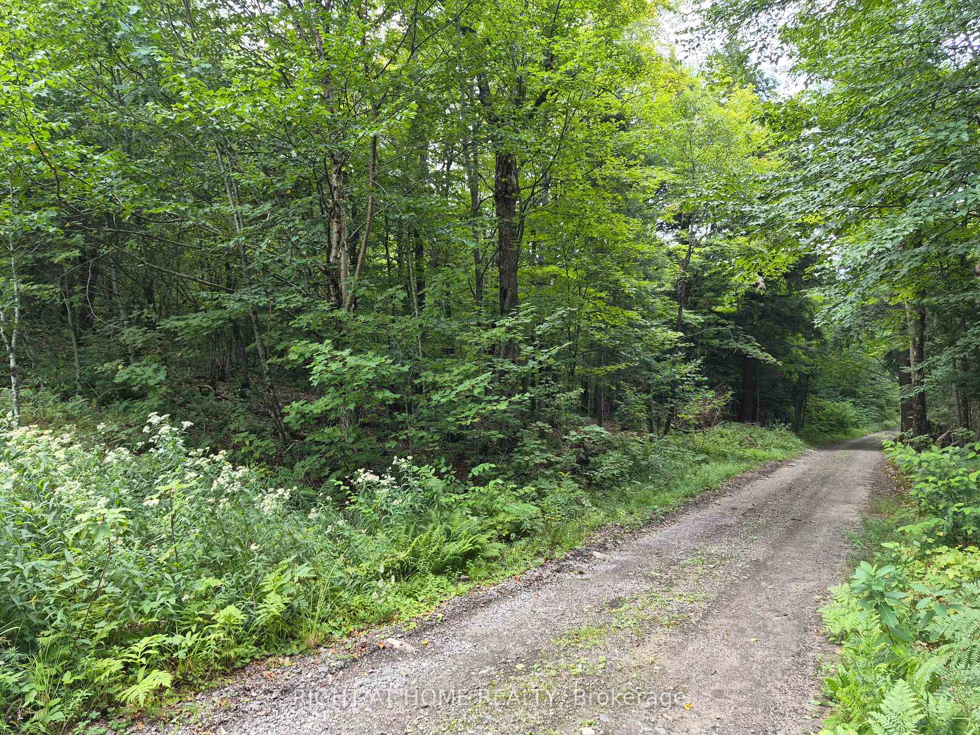 Photo 8 of pt 3 Shadows End Lane, Magnetawan, Ahmic Harbour — HOMEH