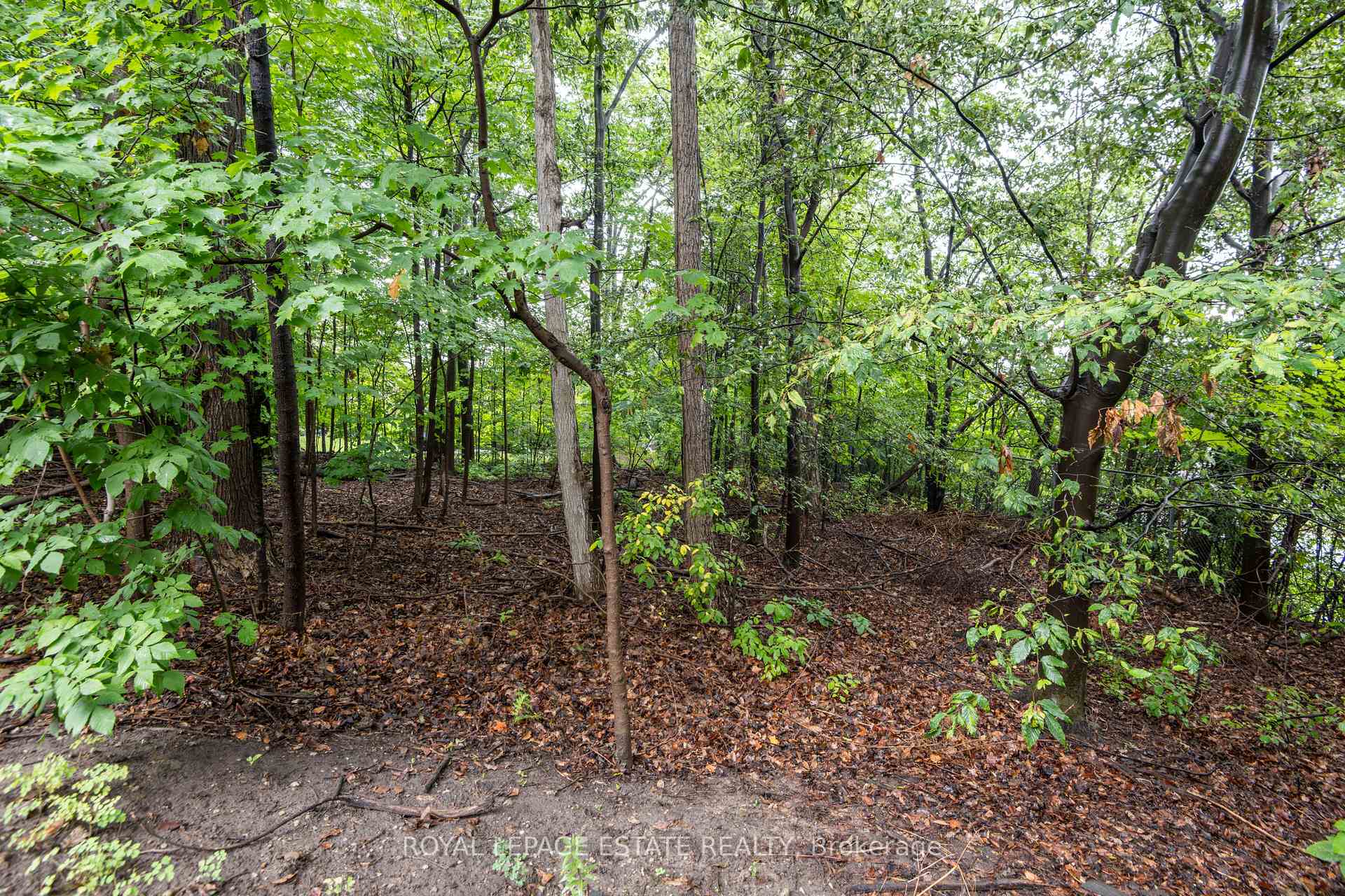 Photo 43 of Unit 3, 228 Kingswood Drive, Kitchener, Alpine — HOMEH