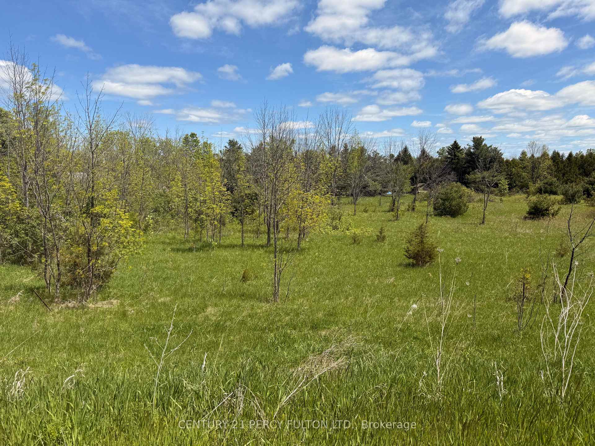 Photo of LOT 55, 56 &57 County Rd 25