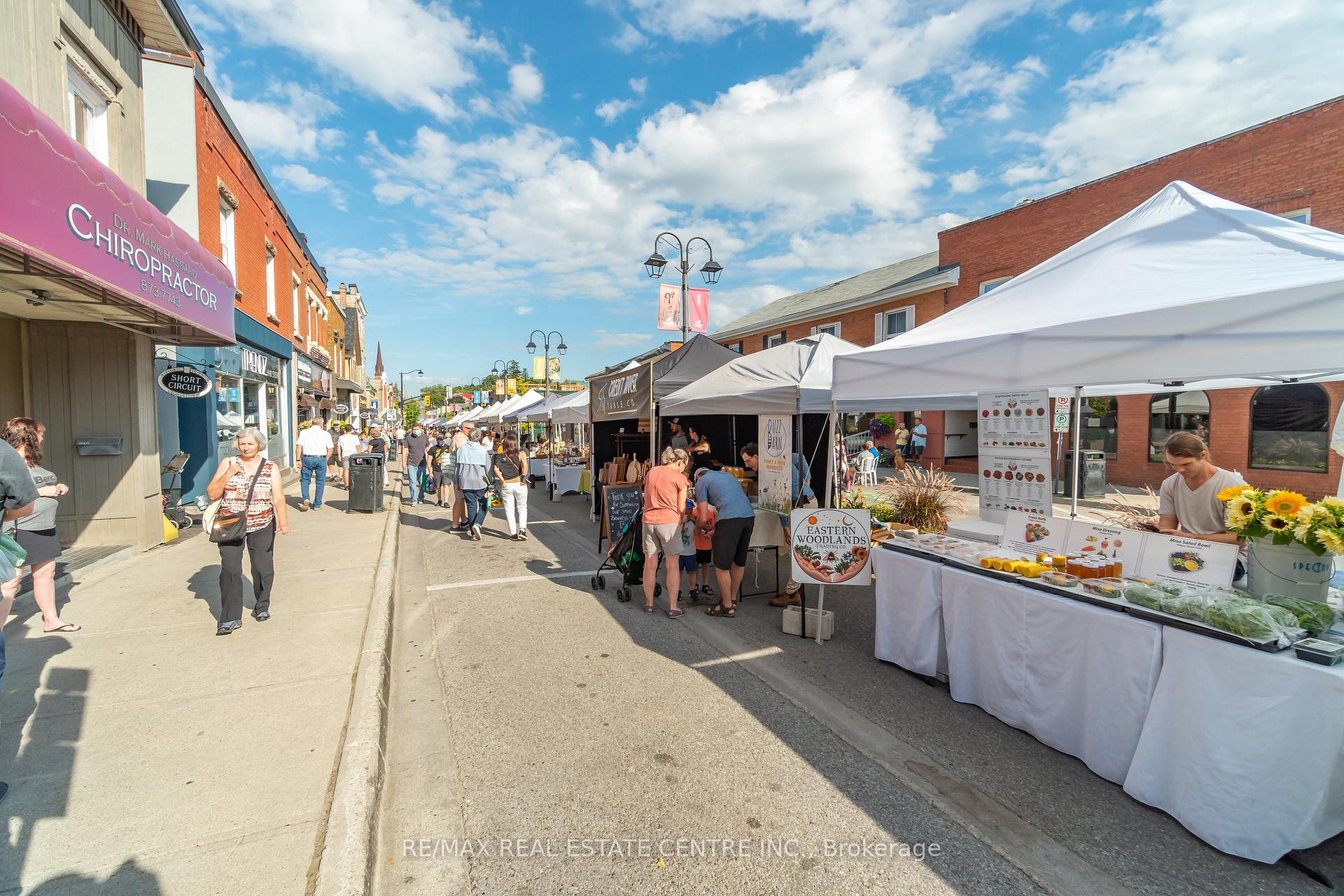 Photo 44 of 17 James Street, Halton Hills, Georgetown — HOMEH