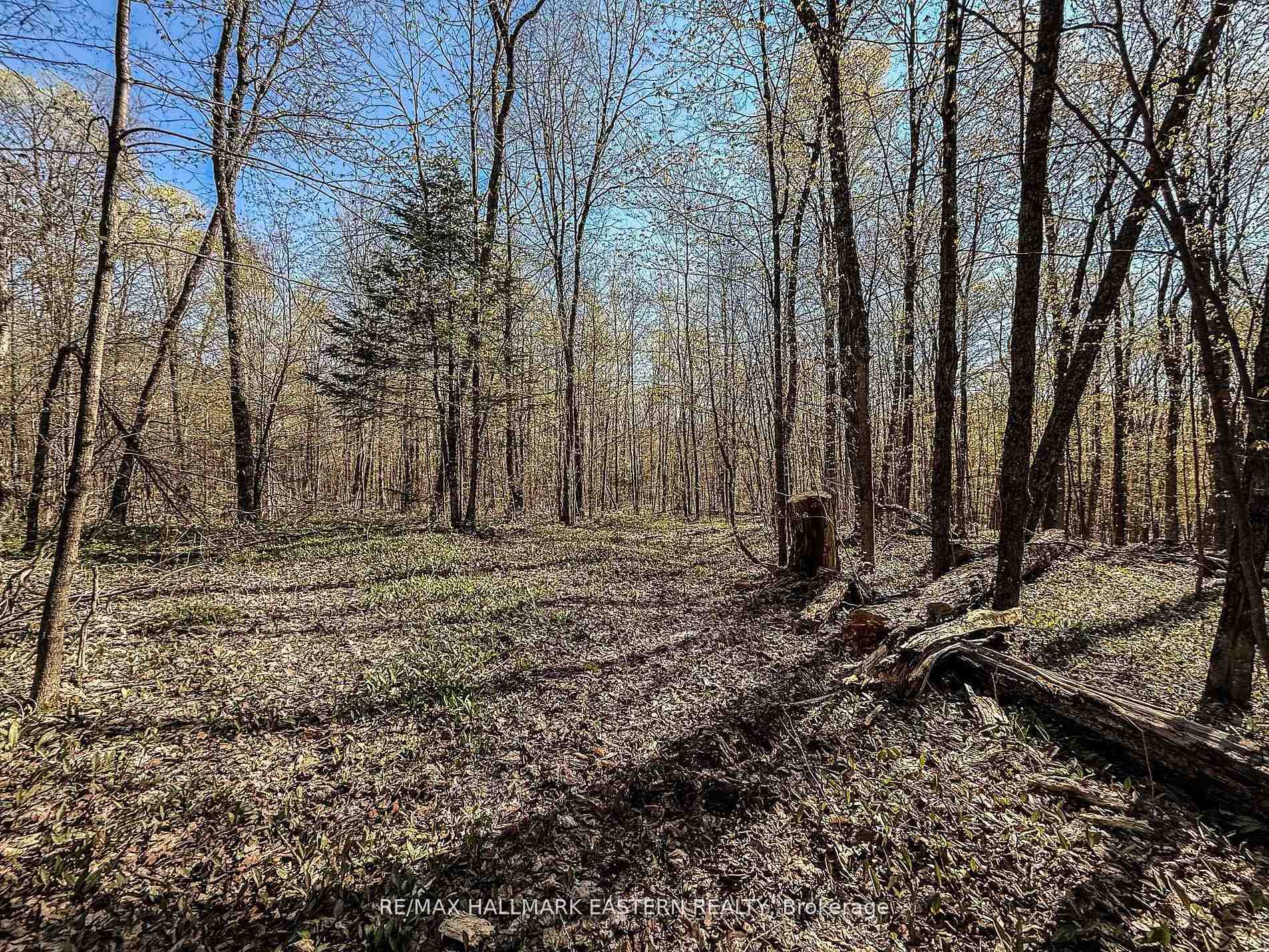 Photo of 2494 Hadlington Road