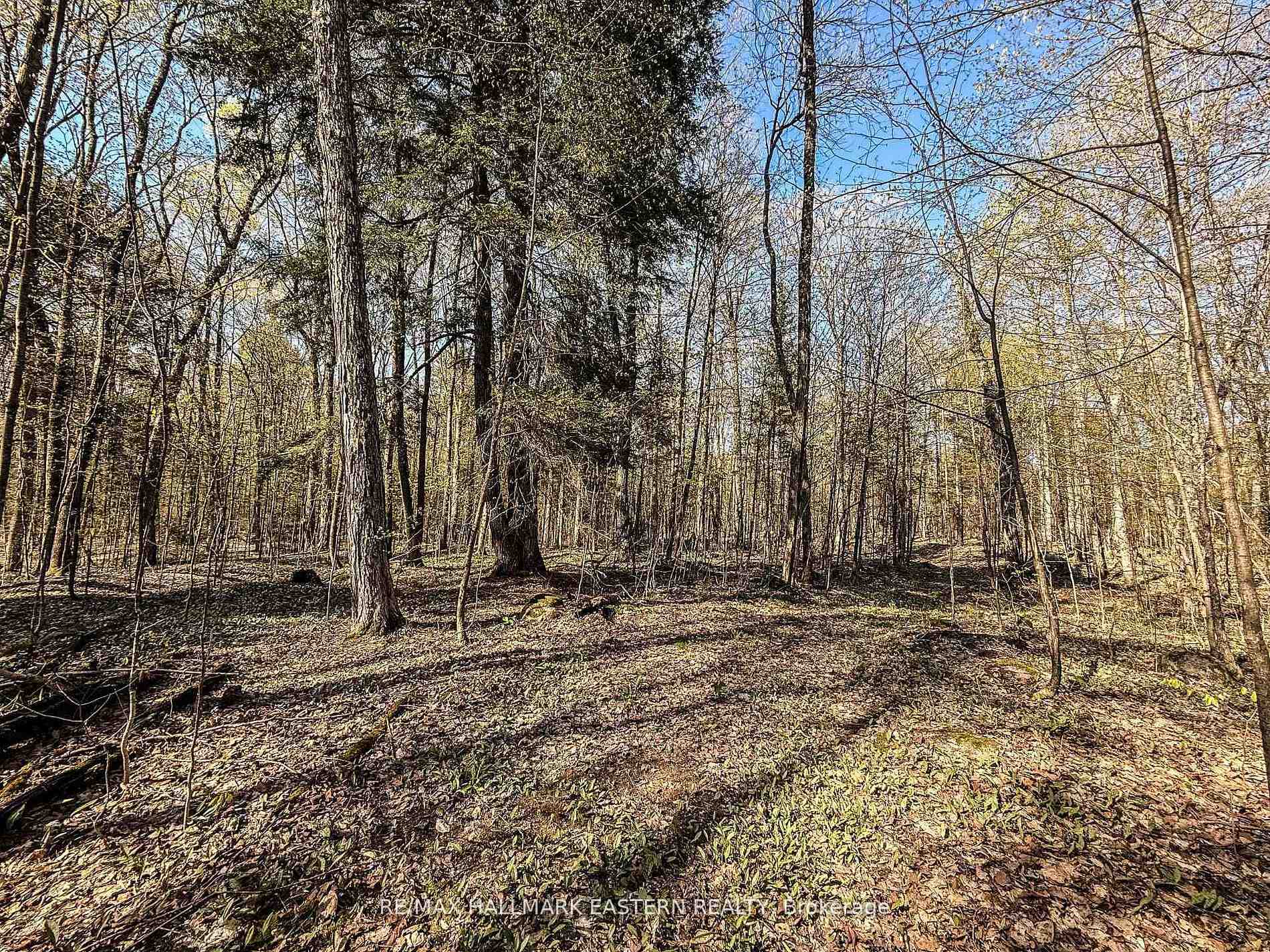 Photo 2 of 2494 Hadlington Road, Highlands East, Monmouth — HOMEH