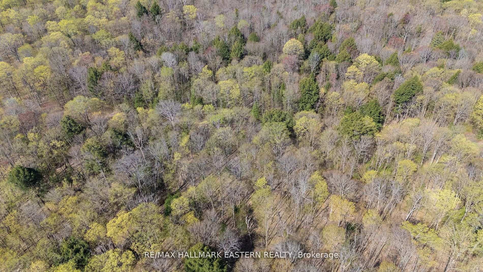 Photo 6 of 2494 Hadlington Road, Highlands East, Monmouth — HOMEH