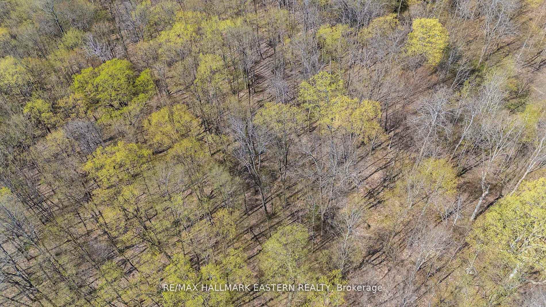 Photo 7 of 2494 Hadlington Road, Highlands East, Monmouth — HOMEH